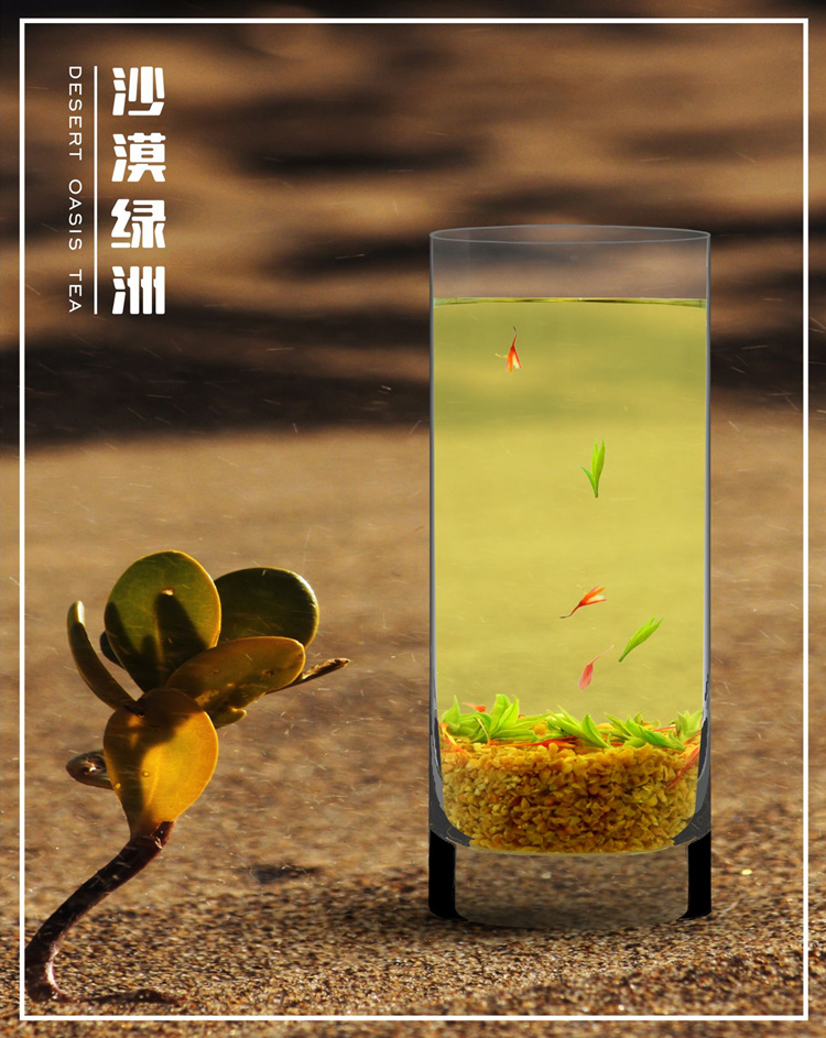 沙漠绿洲详情1.jpg